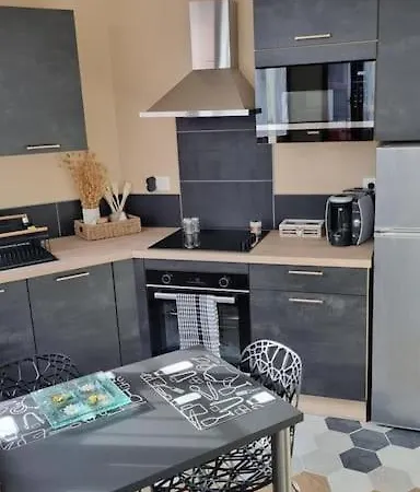 Apartman Refait A Neuf Classe 3 Etoiles Châtel-Guyon