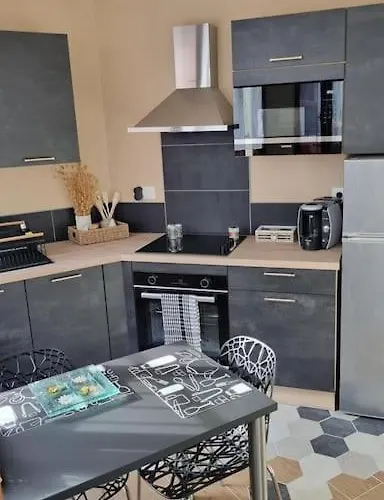 公寓 Refait A Neuf Classe 3 Etoiles Châtel-Guyon